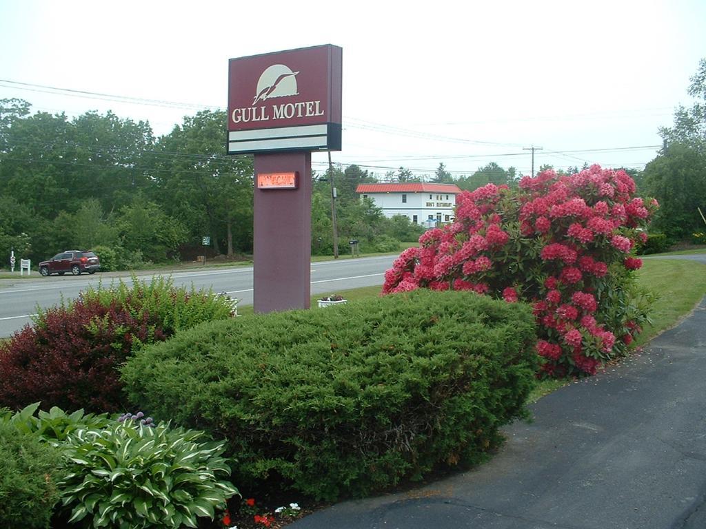 The Gull Motel, 벨페스트 외부 사진